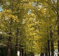 駅東口公園