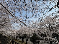 宇都宮　トレーニング　ダイエット　筋トレ