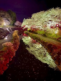 宇都宮　パーソナルトレーニング　花見　パーソナルジム　真岡　筋トレ　ダイエット